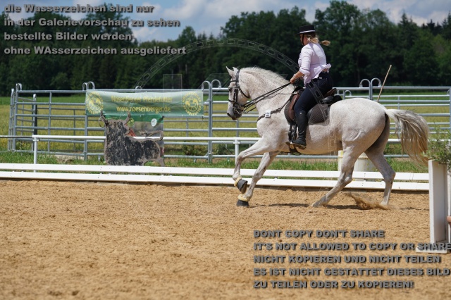 s_K3F06217.JPG
